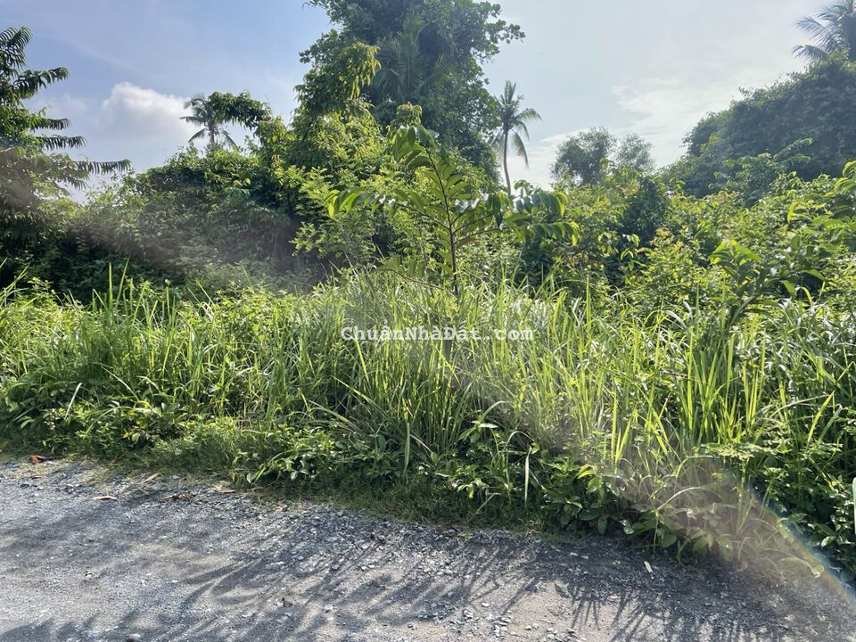 (Giá giảm 40%) 2.000m2 Đất vườn Long Phước Quận 9 chỉ 12tỷ500 Siêu Rẻ (Giá giảm 40%) 2.000m2 Đất vườn Long Phước Quận 9 chỉ 12tỷ500 Siêu Rẻ