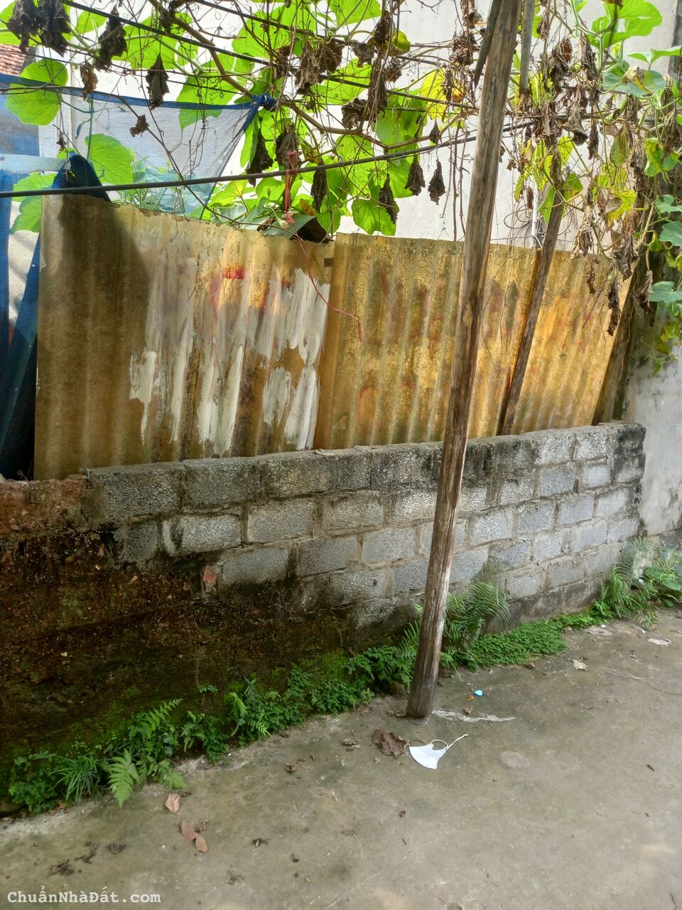 Chính chủ bán Đất Phượng Đồng Phụng châu 50m, 2 mặt ngõ, oto vào, giá đầu tư. Chính chủ bán Đất Phượng Đồng Phụng châu 50m, 2 mặt ngõ, oto vào, giá đầu tư.