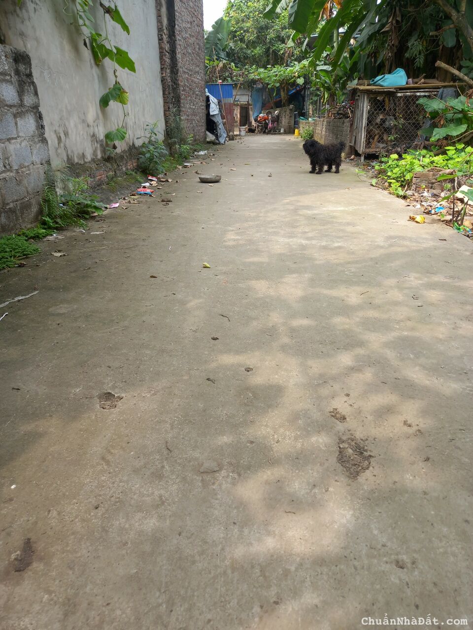 Chính chủ bán Đất Phượng Đồng Phụng châu 50m, 2 mặt ngõ, oto vào, giá đầu tư. Chính chủ bán Đất Phượng Đồng Phụng châu 50m, 2 mặt ngõ, oto vào, giá đầu tư.