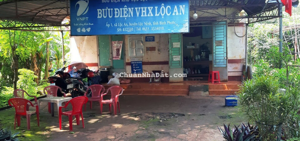 Bán đất ngay UBND xã Lôc An, Lộc Ninh, Bình Phước Bán đất ngay UBND xã Lôc An, Lộc Ninh, Bình Phước