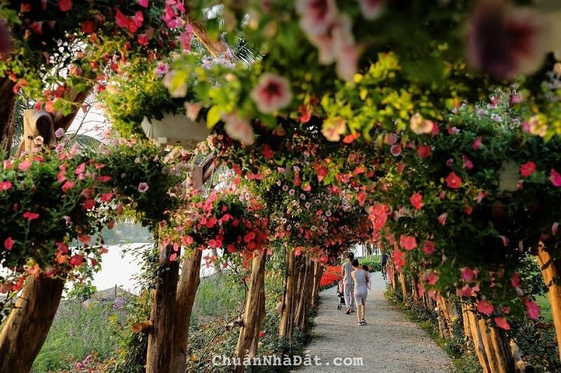 Mở bán chung cư vị trí đẹp nhất Ecopark, bể bơi đẳng cấp nhất miền Bắc, giá ưu đãi, số lượng có hạn