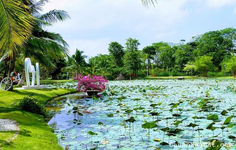 Mở bán chung cư vị trí đẹp nhất Ecopark, bể bơi đẳng cấp nhất miền Bắc, giá ưu đãi, số lượng có hạn