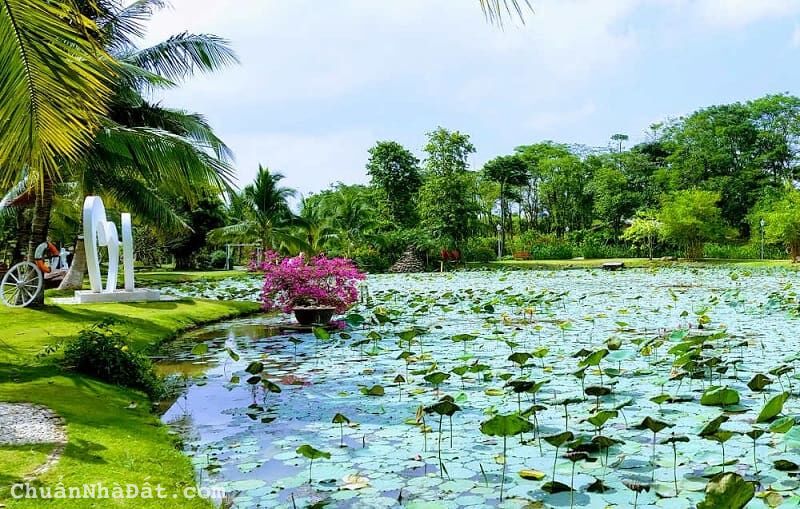 Sở hữu ngay căn hộ đẹp nhất KĐT Ecopark, tầng cao, view đẳng cấp, chính sách ưu đãi đợt 1