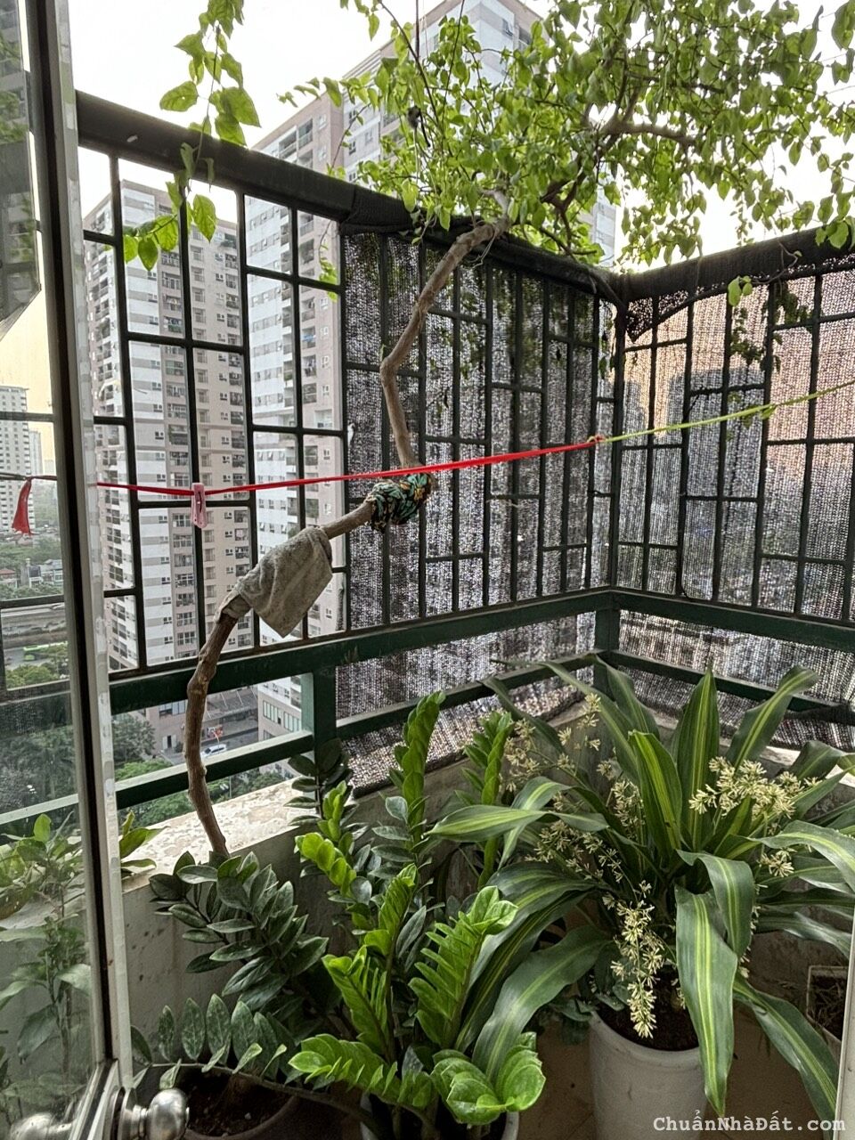 Chính chủ cần bán căn hộ chung cư toà JSC34, Nhân Chính, Thanh Xuân, Hà Nội. 