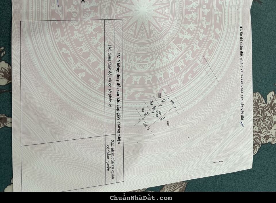 Gia đình tôi cần bán lô đất dịch vụ Yên Nghĩa Hà Đông 50m². Vị trí siêu đẹp. Giá 8 tỉ 6