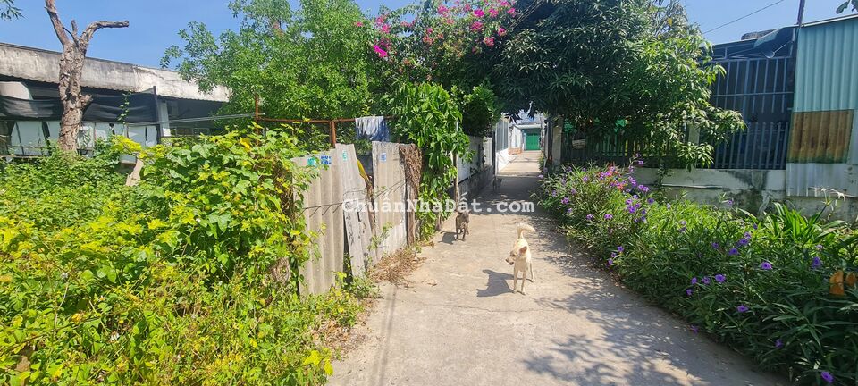 Bán 93,3m2 đất thổ cư phường Phú Tài, Phan Thiết - Bình Thuận 1,3tỷ 0941401593