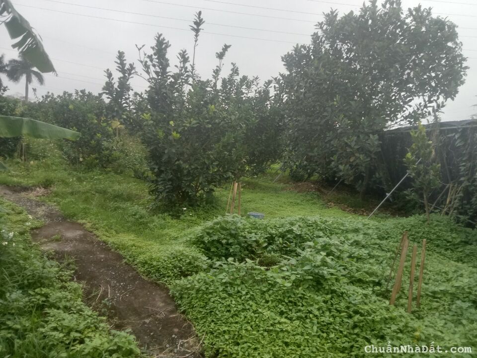 Bán 1.768 m2 đất sổ đỏ Giá 3 triệu/m2 Tại Quận Bắc Từ Liêm Hà Nội Bán 1.768 m2 đất sổ đỏ Giá 3 triệu/m2 Tại Quận Bắc Từ Liêm Hà Nội