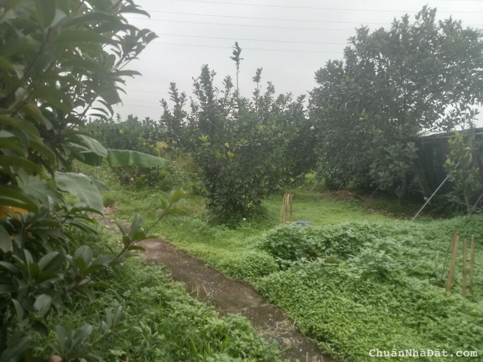 Bán 1.768 m2 đất sổ đỏ Giá 3 triệu/m2 Tại Quận Bắc Từ Liêm Hà Nội Bán 1.768 m2 đất sổ đỏ Giá 3 triệu/m2 Tại Quận Bắc Từ Liêm Hà Nội