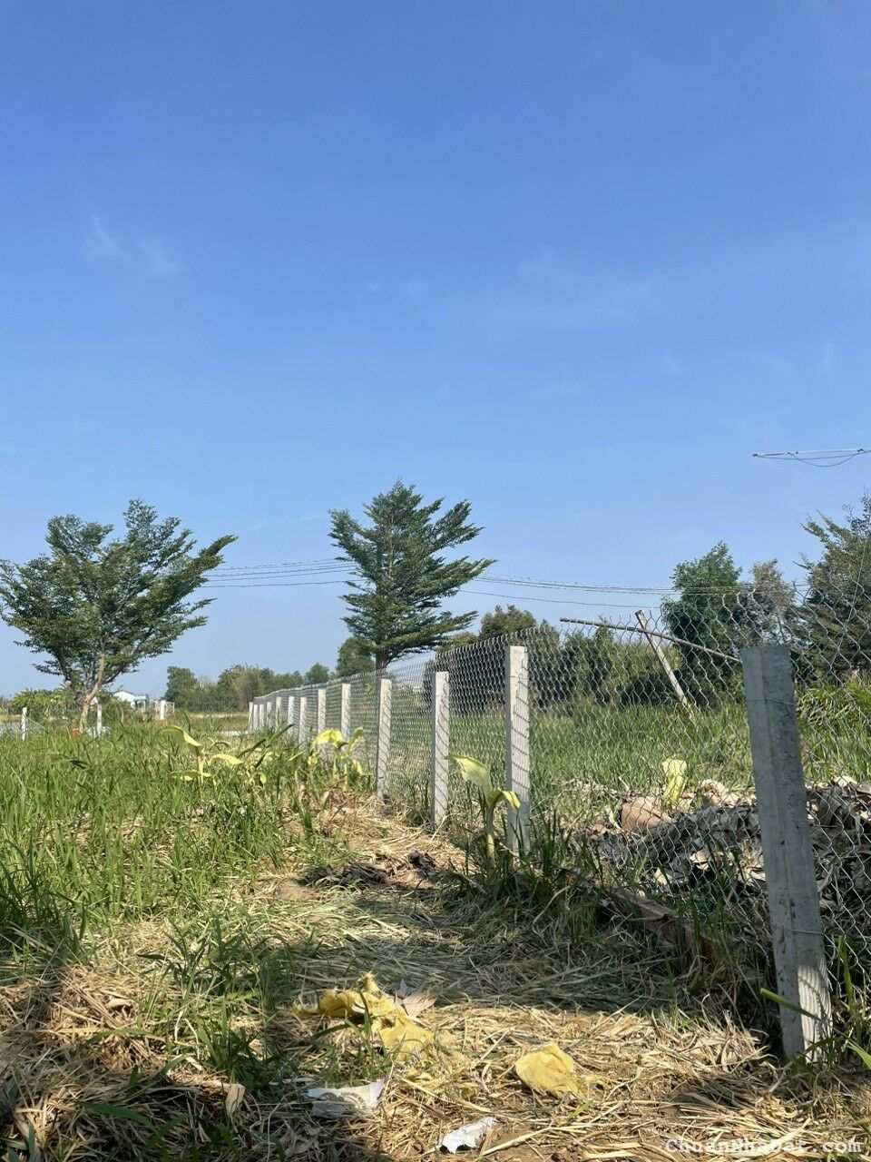 EM BÁN NHANH MIẾNG ĐẤT FULL THỔ CƯ 142M2 - NGAY TÂN TRẠCH CẦN ĐƯỚC