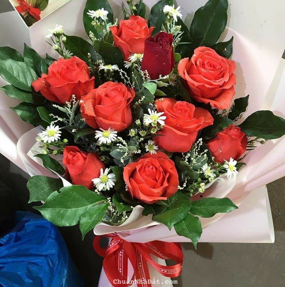 Về quê cần sang CLB bida tại Vĩnh Cửu, Đồng Nai. 