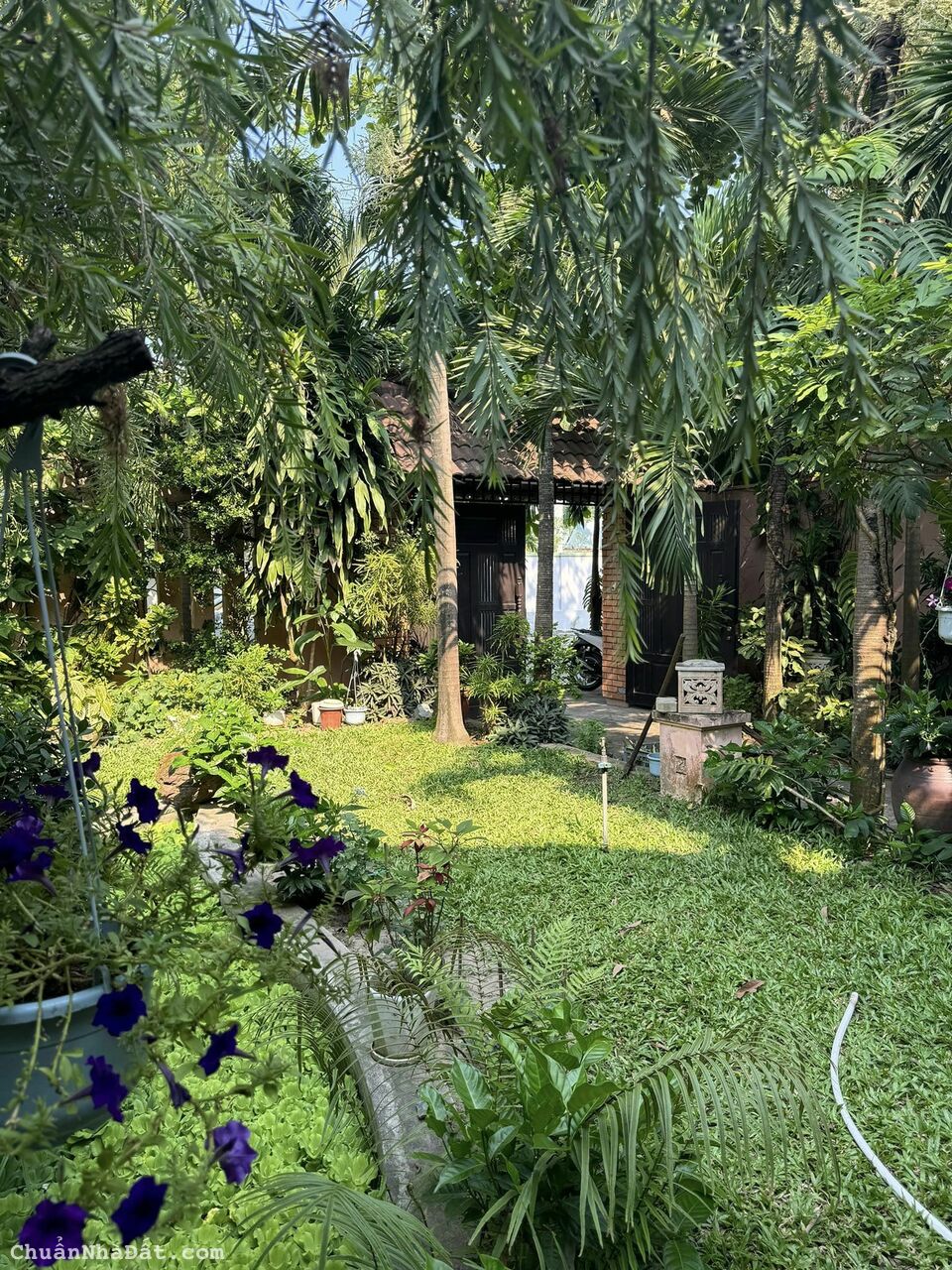 VILLA KIỂU PHÁP ĐẸP - GÓC 2 MẶT TIỀN 450M2 - ĐỘC ĐÁO - NGAY BIỂN MỸ KHÊ VILLA KIỂU PHÁP ĐẸP - GÓC 2 MẶT TIỀN 450M2 - ĐỘC ĐÁO - NGAY BIỂN MỸ KHÊ