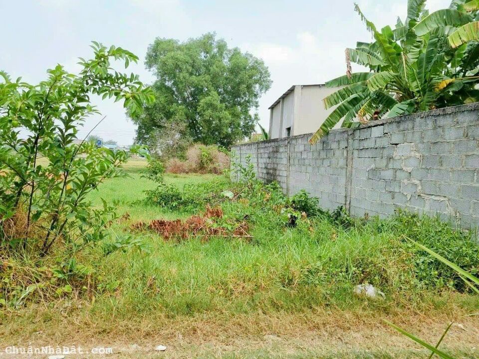 Cần xoay vốn bán lỗ nền đất ở đường An Hạ, Bình Chánh, 180m2, 2 tỷ 35 Cần xoay vốn bán lỗ nền đất ở đường An Hạ, Bình Chánh, 180m2, 2 tỷ 35