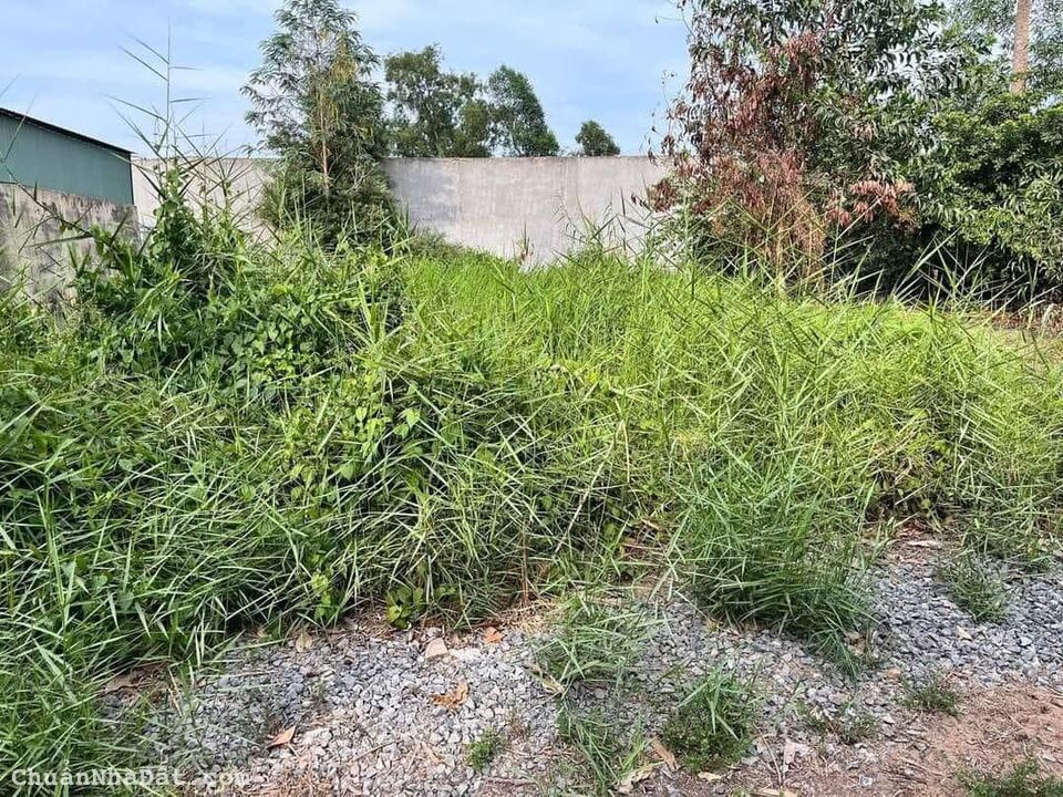 Cần thanh lý ngay Lô đất hướng Tây ở KCN TÂN ĐỨC, Long An. Giá bao mềm chỉ 2 tỷ . 125m2