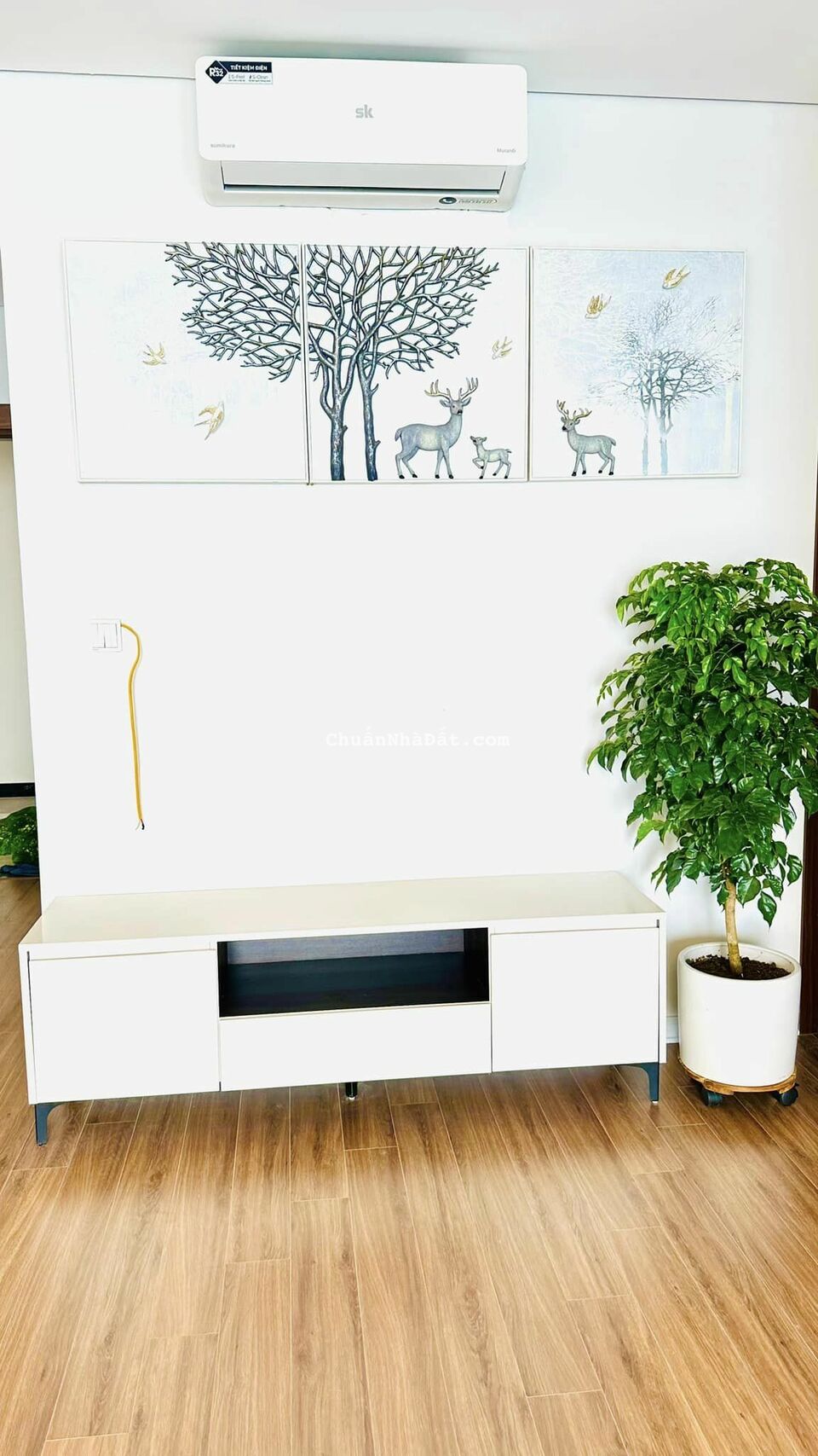 Cho thuê căn hộ Bình Minh Garden 100m2 3PN Full đồ giá 14tr/tháng.