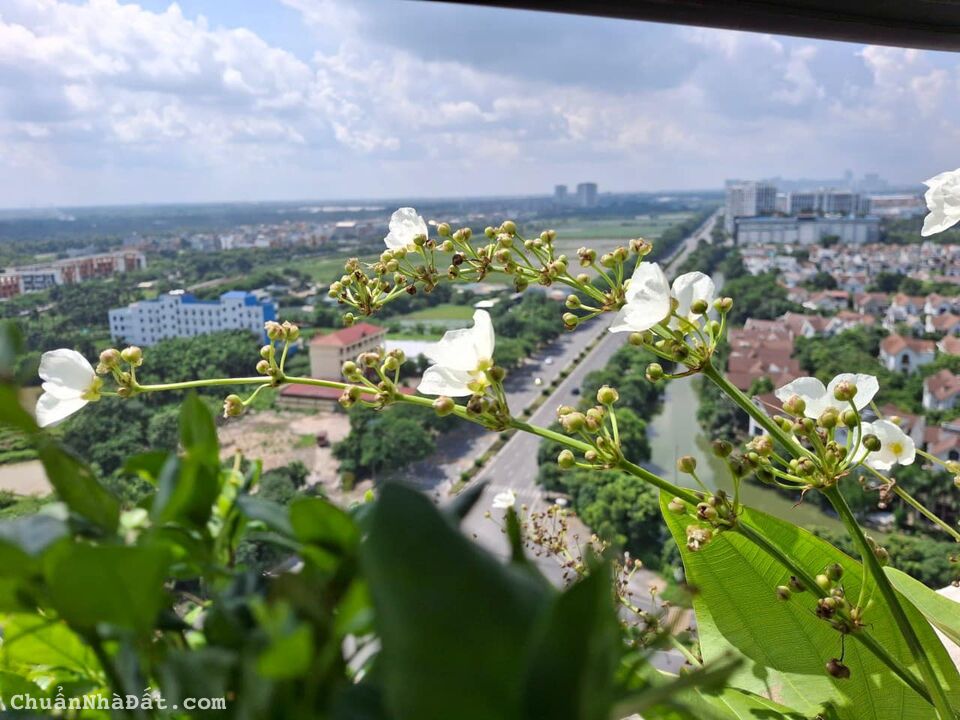 Cho thuê căn hộ Ecocity Việt Hưng, 85m2 3PN Full đồ đẹp giá 12,5tr.