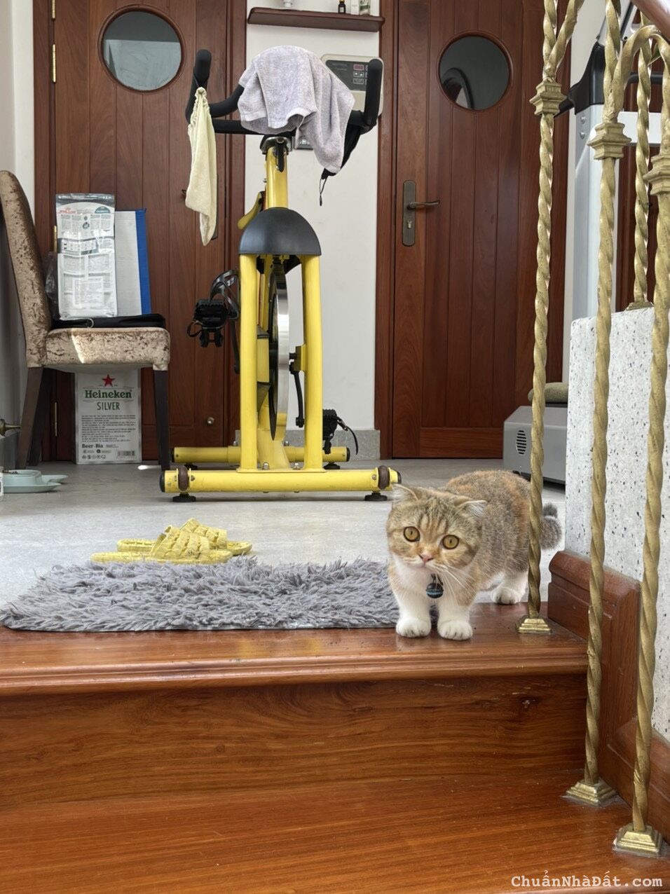 Biệt thự cao cấp Huỳnh Văn Bánh  (7m x 12m) 3 lầu full nội thất Giá chỉ 12,6 tỷ