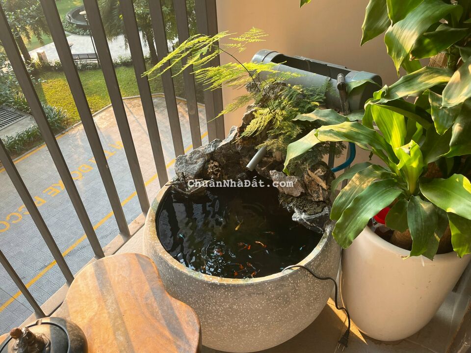 Bán căn hộ Vinhomes ocean park 1 - Tòa s1.07 - căn 2PN1WC - 55m2 tầng thấp