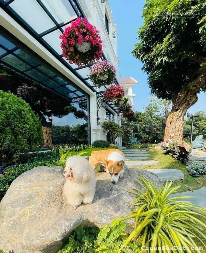 Quỹ căn cho thuê Vinhomes Riverside và Vinhome The Harmony giá tốt