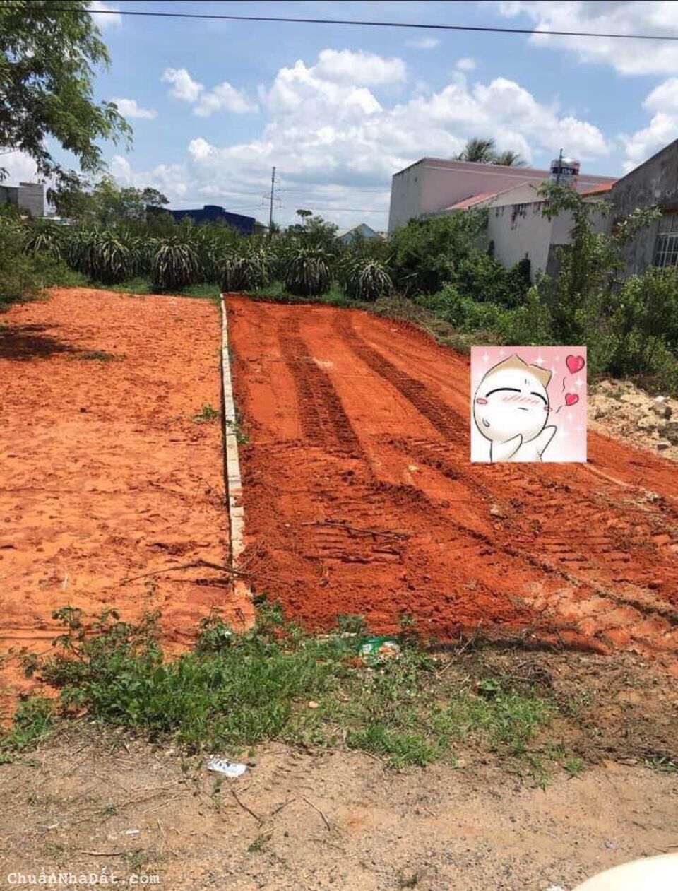 Bán nhanh lô đất Mặt Tiền Phạm Thị Tư, Phan Thiết 