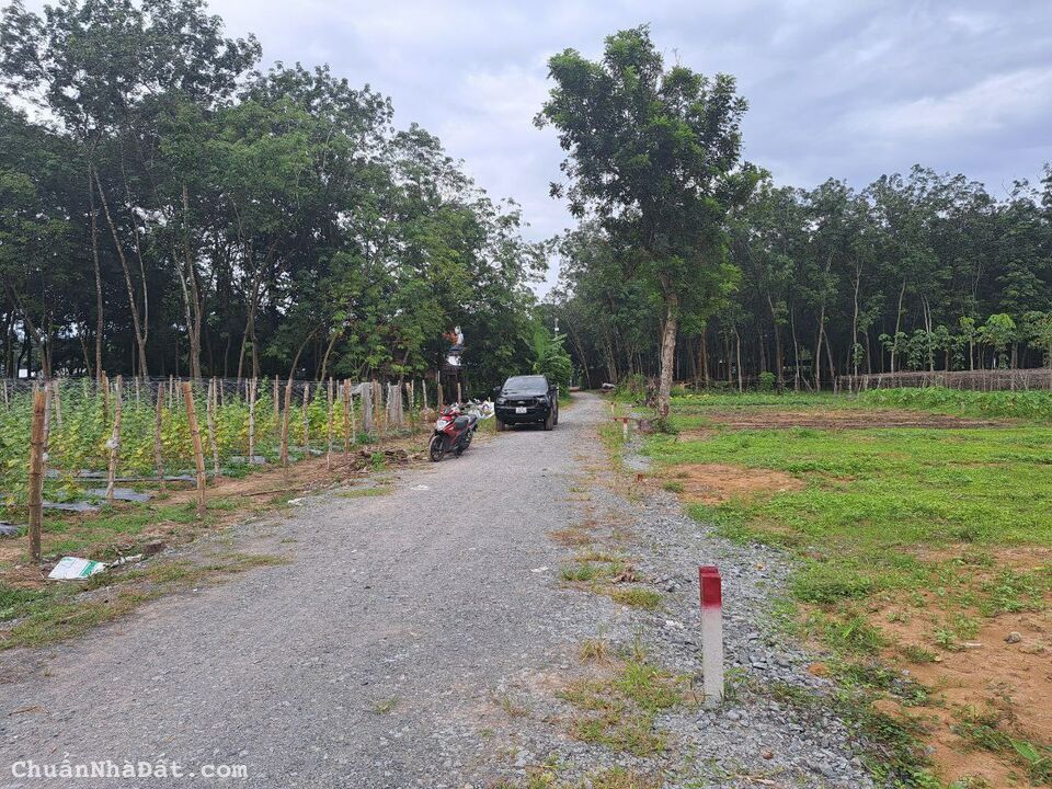 Bán đất Bình Dương giá rẻ 285m2/100 tc sổ sẳn