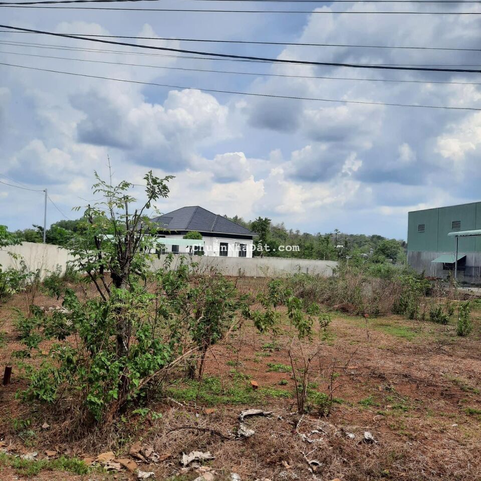 Cần bán lô nhanh góc 2 Mặt tiền hơn 1000m2,Chính Chủ,Giá 380tr bao sổ ,Bình Phước Cần bán lô nhanh góc 2 Mặt tiền hơn 1000m2,Chính Chủ,Giá 380tr bao sổ ,Bình Phước