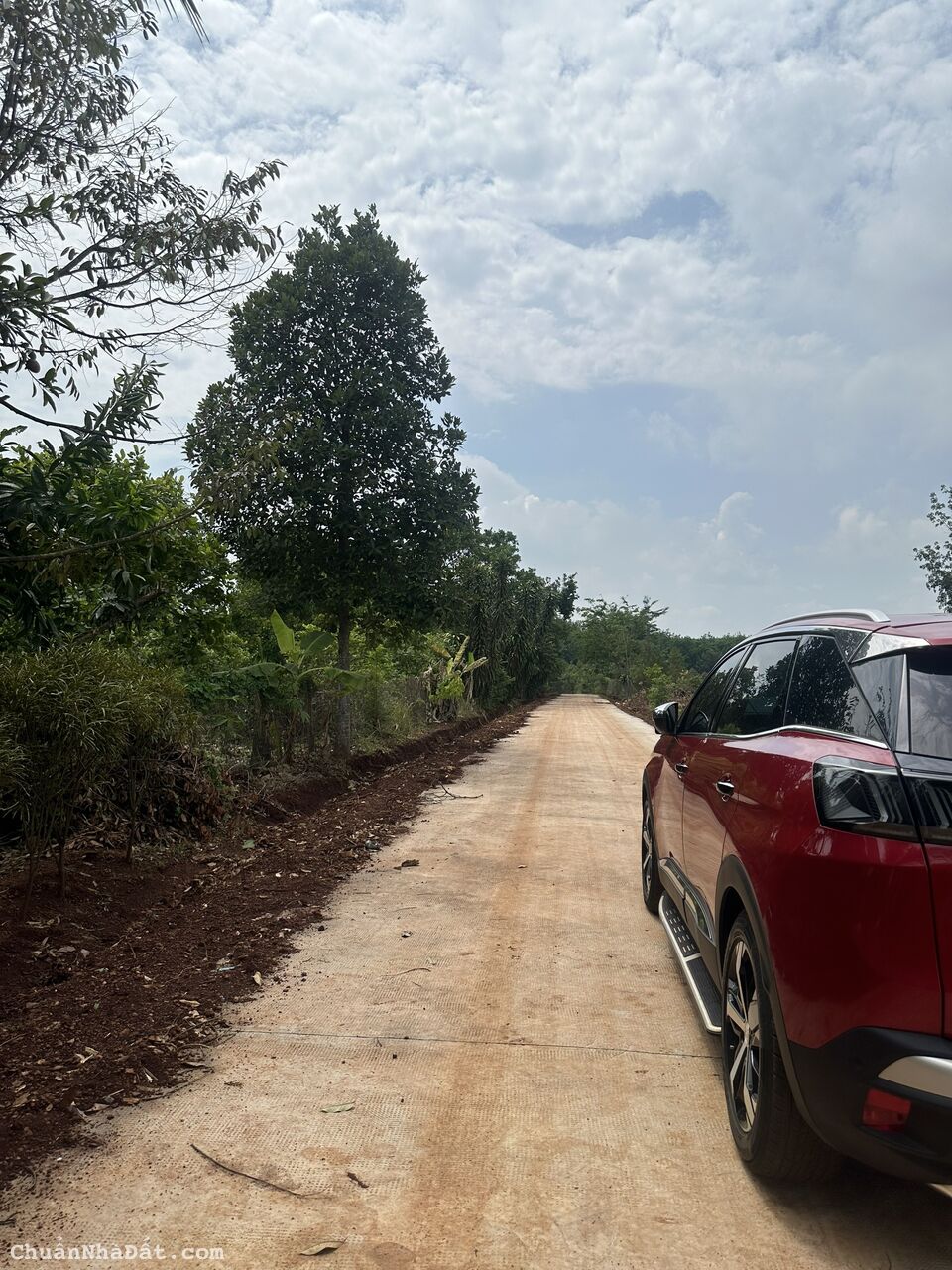 Bán Gắp lô đất 14x71 1000m2 Có Thổ cư tách làm 2 sổ giá 290tr Hớn Quản Bình Phước