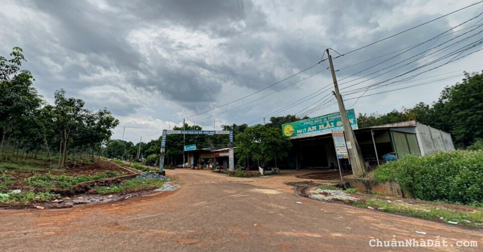 Bán Gắp lô đất 14x71 1000m2 Có Thổ cư tách làm 2 sổ giá 290tr Hớn Quản Bình Phước