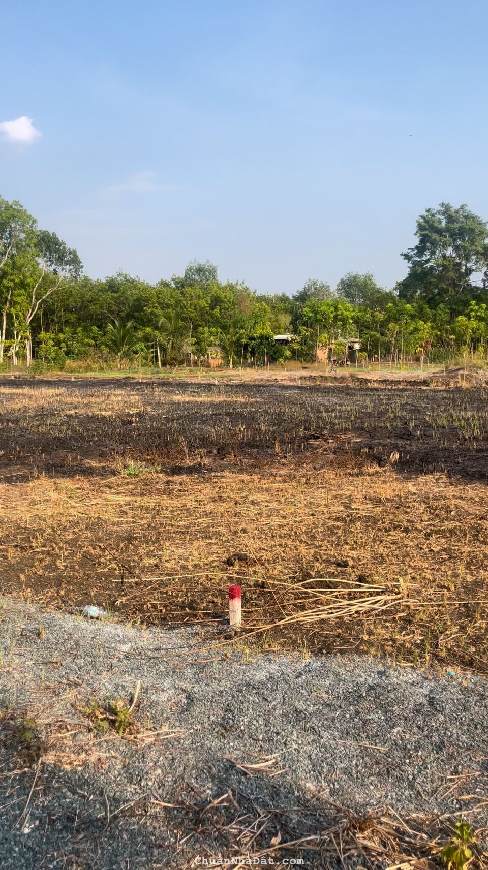 Bán gắp lô đất 322m2 260tr 10x33 thổ cư , sổ hồng riêng Hớn Quản, Bình Phước Bán gắp lô đất 322m2 260tr 10x33 thổ cư , sổ hồng riêng Hớn Quản, Bình Phước