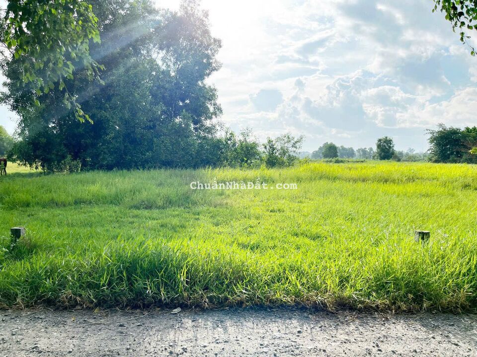 BÁN 130m² ĐẤT THỔ CƯ TẠI ĐƯỜNG XÓM CHỒI, TÂN MỸ, ĐỨC HÒA, LONG AN