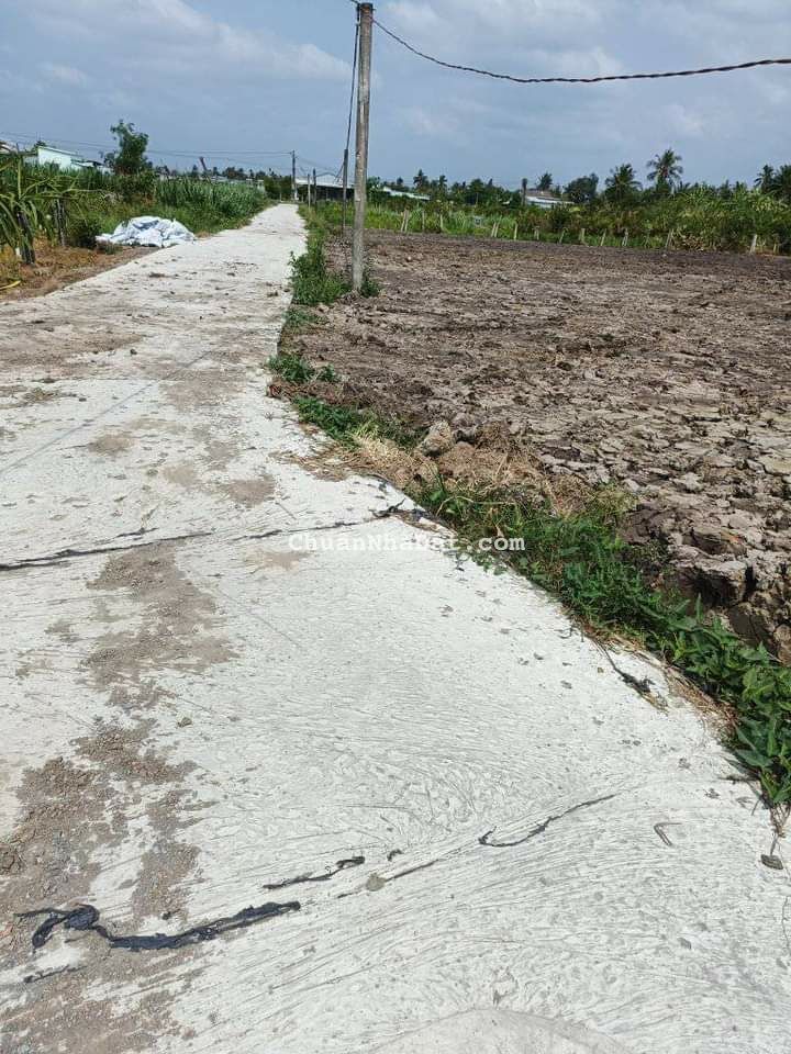 Thổ Lúa Thanh Phú Long Châu Thành Long An thích hợp xây nhà vuờn 