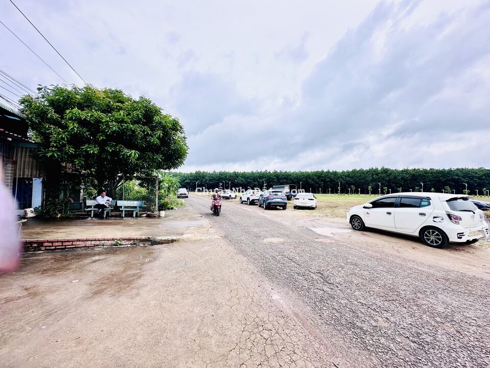 KẸT TIỀN THANH LÝ GẤP NỀN ĐẤT SIÊU ĐẸP NGAY TRUNG TÂM THÀNH PHỐ ĐỒNG XOÀI.