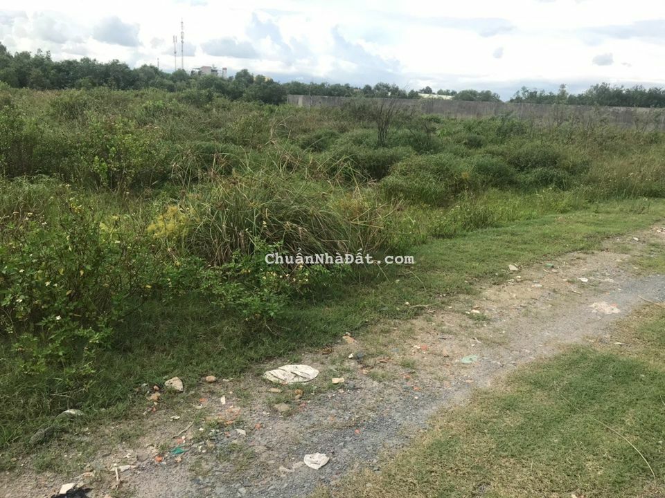 Bán sổ đất 2500 m2 giá bán 4tr/m2 ở vĩnh lộc b bình chánh hcm
