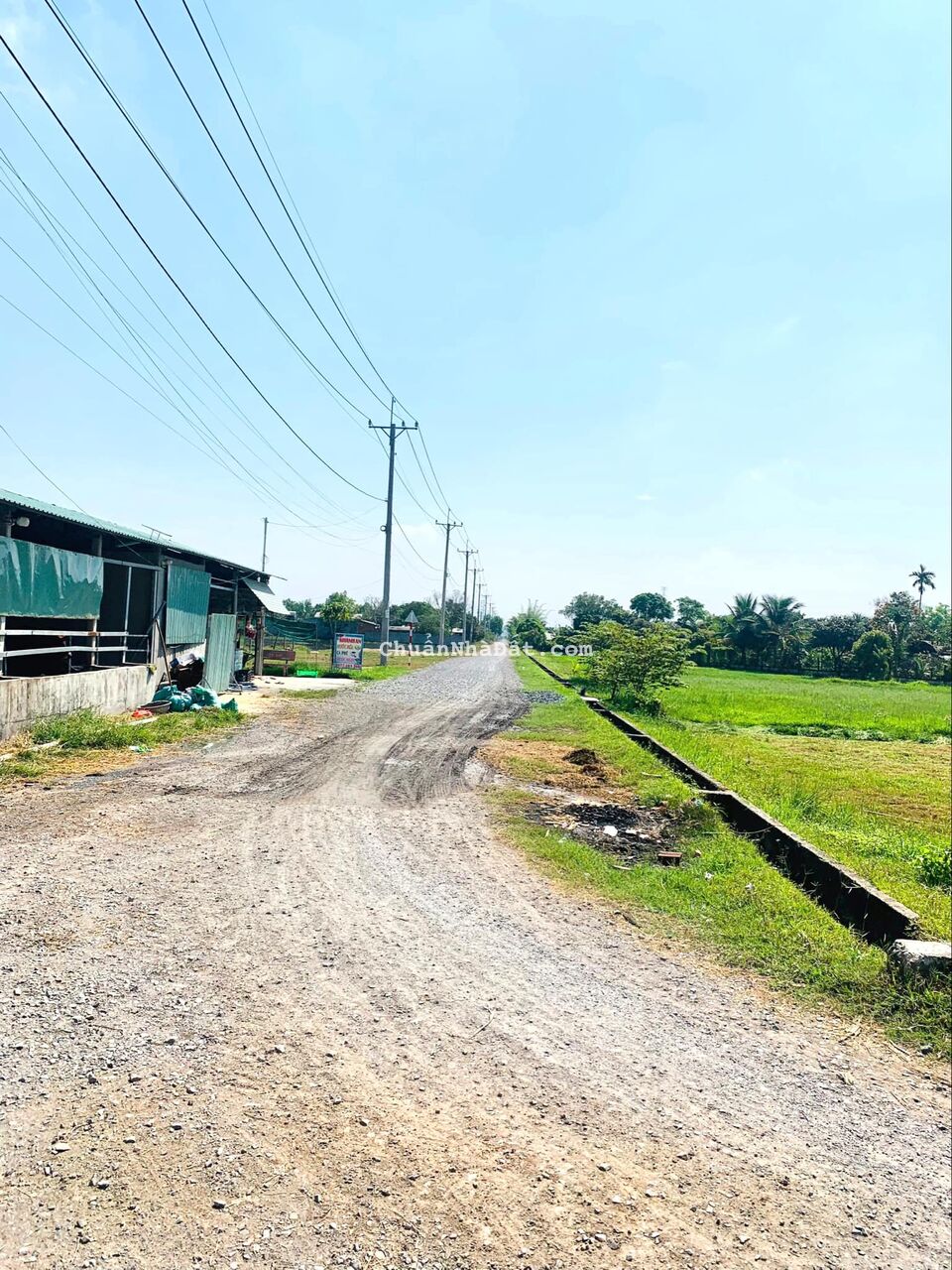 Kẹt tiền cần bán gấp 1067m2 Đất Vườn 1ti2 Đ.Võ Văn Điều Huyện Củ Chi Kẹt tiền cần bán gấp 1067m2 Đất Vườn 1ti2 Đ.Võ Văn Điều Huyện Củ Chi