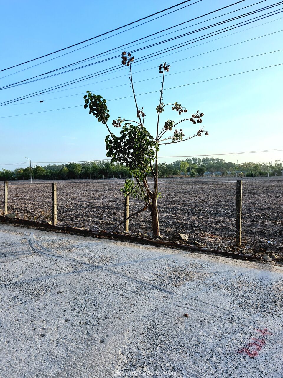 🌟 Thanh Toán 460 Triệu - Sở Hữu Ngay Đất Nền Tại Phú Mỹ, Bà Rịa Vũng Tàu! 🌟 🏡