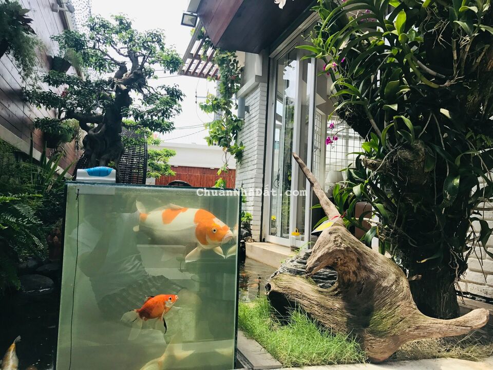 Bán biệt thự cao cấp khu Kiều Đàm Quận 7, DT: 14.4x24.5m, 3 lầu, CN: 338.5m2, giá: 65 tỷ