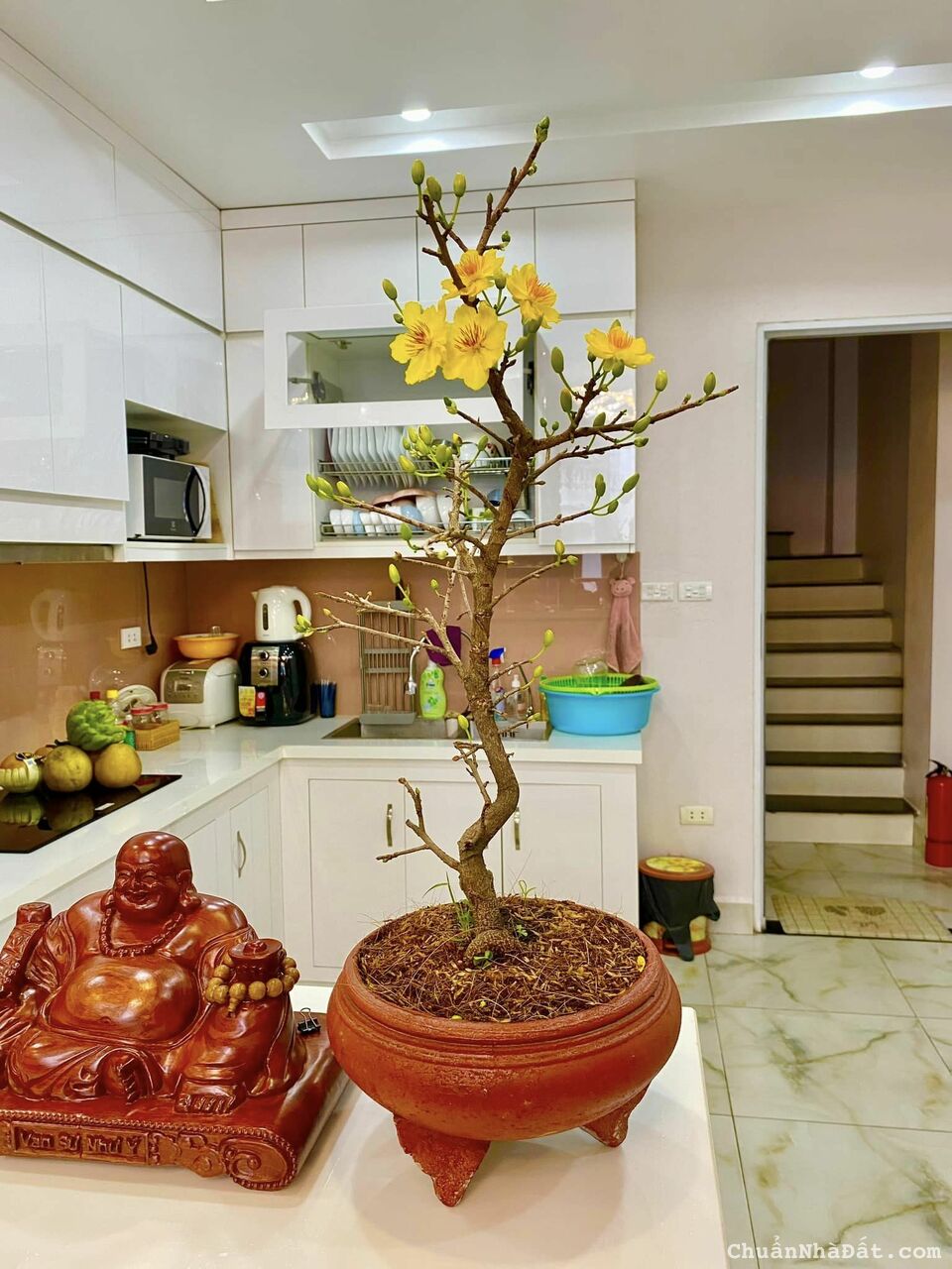 Bán nhà riêng ngõ 10 Tôn Thất Tùng, 45,6m2, 4T , Ô Tô Giá Chỉ 6,5 Tỷ