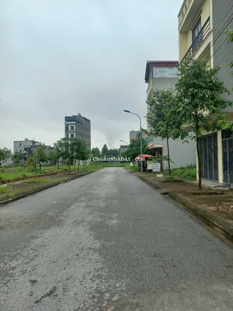 Liên hệ trực tiếp 