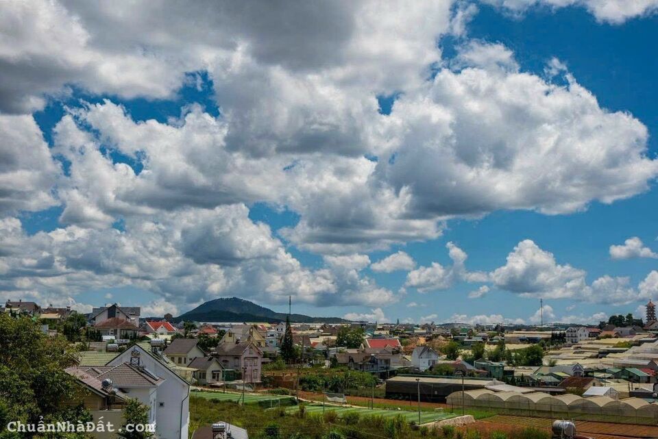 Cần Bán Gấp 5 Lô Đất Khu Biệt Thự Cao Cấp Đường Phù Đổng Thiên Vương P8, Đà Lạt – Ngọc Anh Cần Bán Gấp 5 Lô Đất Khu Biệt Thự Cao Cấp Đường Phù Đổng Thiên Vương P8, Đà Lạt – Ngọc Anh