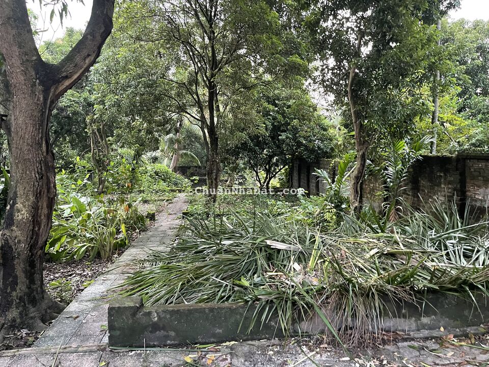 Cơ hội sở hữu ngay lô đất mặt tiền rộng 18m mà giá hạt dẻ chỉ 3x tỷ tại Thuỷ Xuân Tiên, Chương Mỹ Cơ hội sở hữu ngay lô đất mặt tiền rộng 18m mà giá hạt dẻ chỉ 3x tỷ tại Thuỷ Xuân Tiên, Chương Mỹ