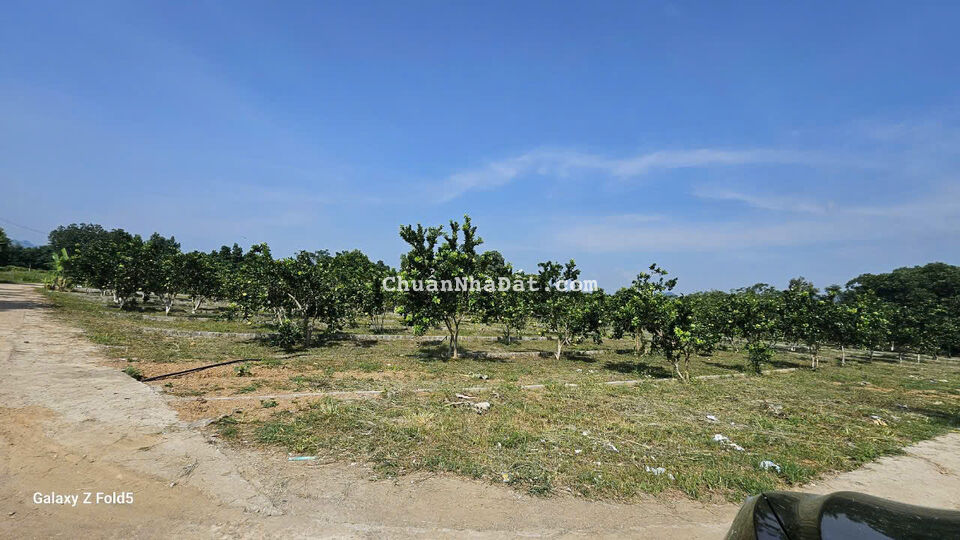 Lô đất tại Xóm Bãi Đa, Bảo Hiệu, Yên Thuỷ, Hoà Bình giá chỉ 342tr có 150m².