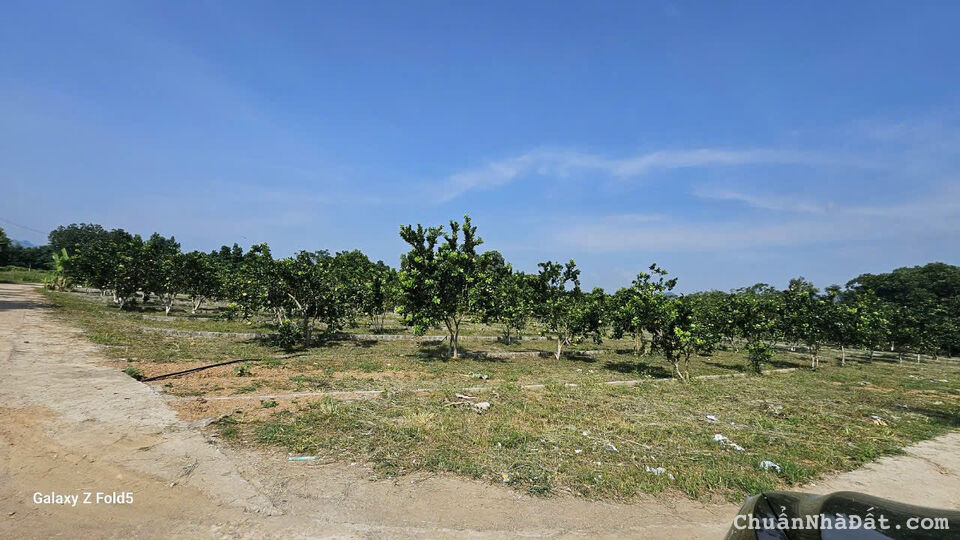 Duy nhất 01 lô đất tại Xóm Bãi Đa, Bảo Hiệu, Yên Thuỷ, Hoà Bình giá chỉ 230tr có 150m².