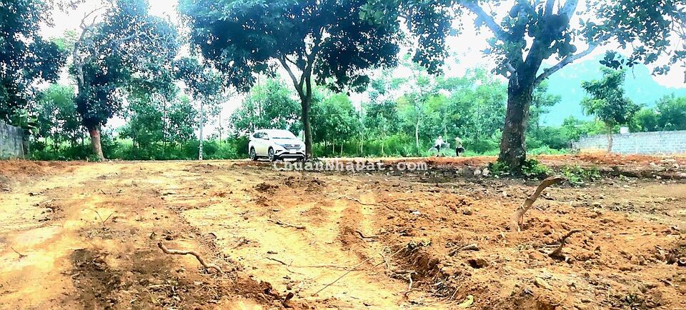 lô đất nền tại Ngọc Lương, Yên Thuỷ, Hoà Bình DT: 168m MT: 5m Hậu: 5.25m Giá: 185tr