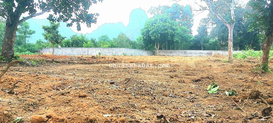 rẻ quá đất tại Ngọc Lương, Yên Thủy, Hòa Bình giá chỉ 180tr, có ngay 164m