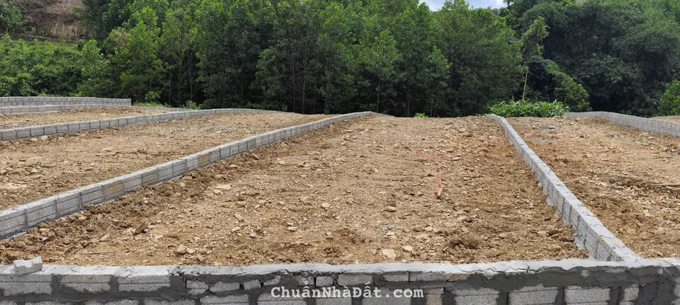 800m2 có 200m2 thổ cư tại Phú Thành, Lạc Thuỷ, Hoà Bình giá chỉ 4tr/m2