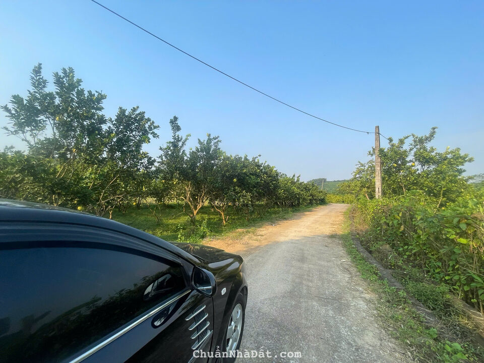 Lô đất đầu tư quá rẻ chỉ 350tr có ngay 320m tại Đoàn Kết, Yên Thuỷ, Hoà Bình