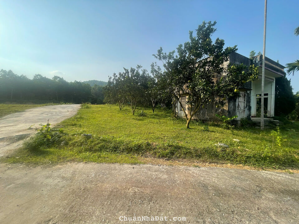 Đầu tư quá rẻ so với mặt bằng, 375tr có 290m tại Đoàn Kết, Yên Thuỷ, Hoà Bình Đầu tư quá rẻ so với mặt bằng, 375tr có 290m tại Đoàn Kết, Yên Thuỷ, Hoà Bình