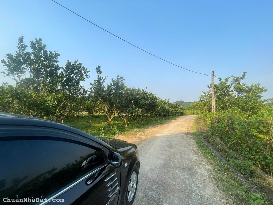 Đầu tư quá rẻ so với mặt bằng, 375tr có 290m tại Đoàn Kết, Yên Thuỷ, Hoà Bình Đầu tư quá rẻ so với mặt bằng, 375tr có 290m tại Đoàn Kết, Yên Thuỷ, Hoà Bình