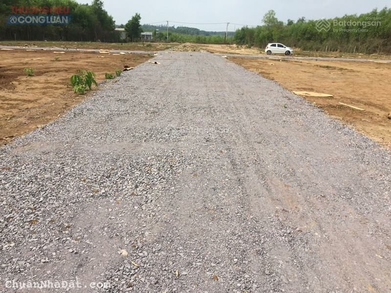 Bán 1 lô đất nghĩa trang có Giấy chứng nhận quyền sử dụng đất (sổ đỏ) riêng, tại Thị trấn Vĩnh An, 