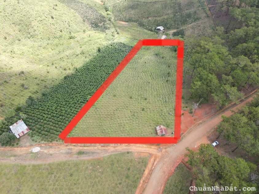 BÁN 5000M2 ĐẤT LẠC DƯƠNG, CÁCH ĐÀ LẠT 23KM, SỔ RIÊNG, 4.5T, LH 0888.113.882 