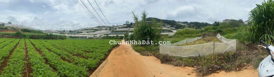 BÁN ĐẤT ĐÀ LẠT, HẺM Ô TÔ TRỊNH HOÀI ĐỨC, 89M2 1TỈ8, LH 0888-113-882 